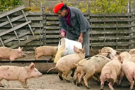 Los trabajadores rurales podrán tener franco hoy