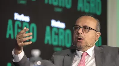 Definiciones sobre un CEO en la actividad pública