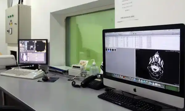 San Miguel: Convenio de telemedicina con el FLENI