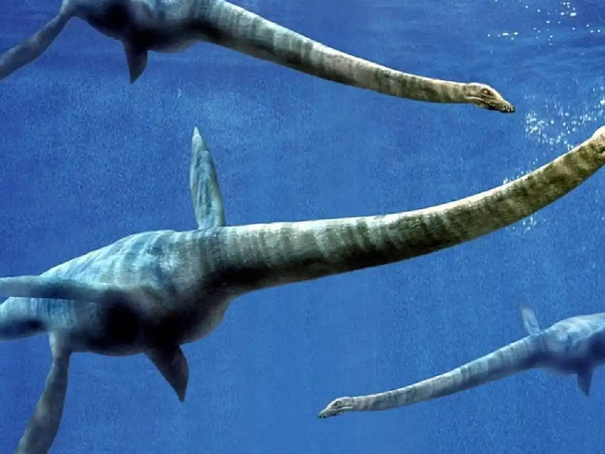 Hallan restos de un reptil similar al Monstruo del Lago Ness