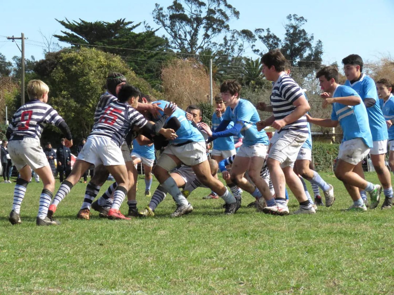 Resultados de juveniles en la Unión de Mar del Plata
