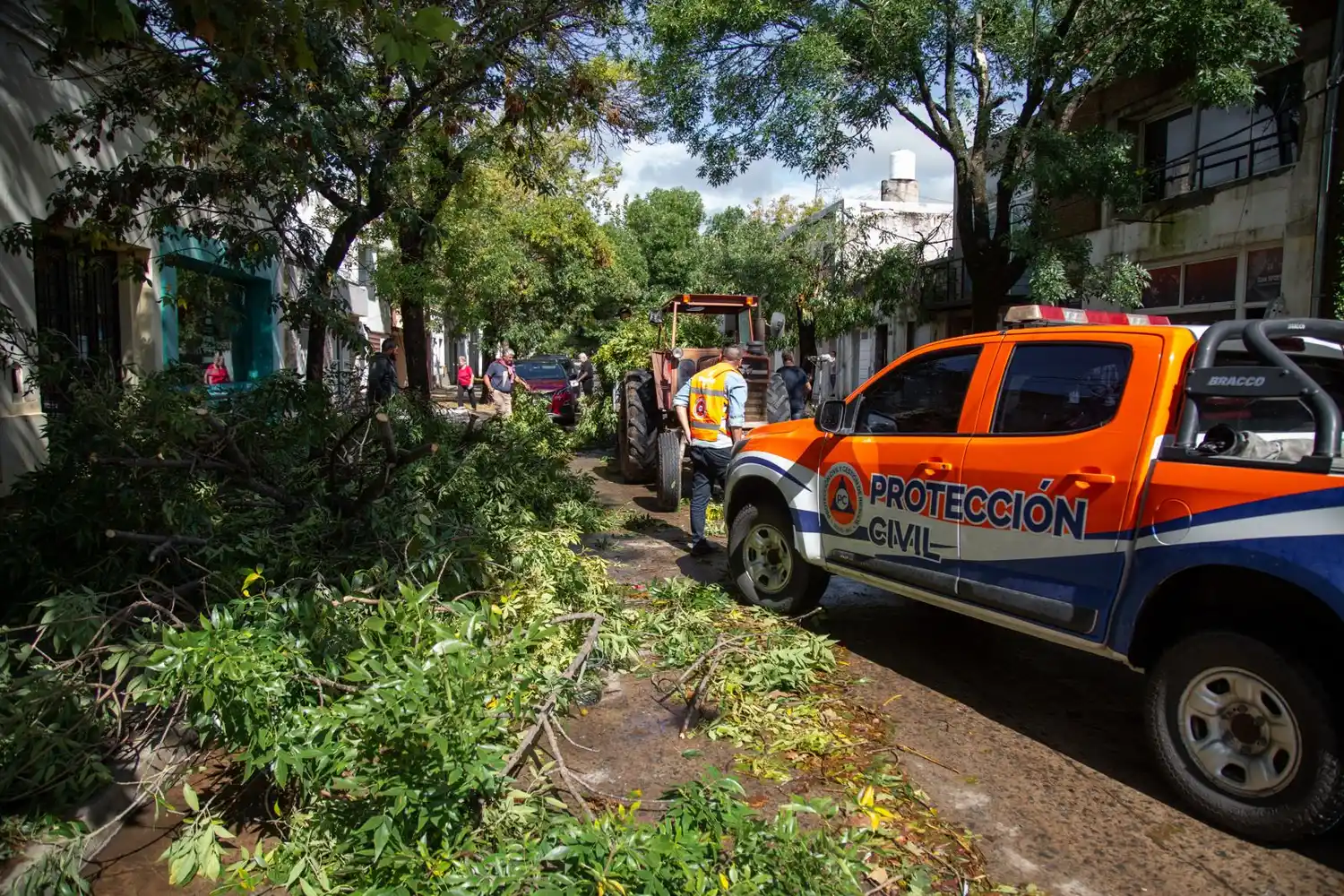 Protección Civil colaboró en el retiro de ramas y árboles.