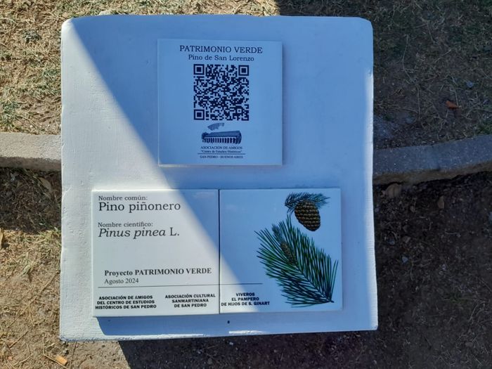 qr pino