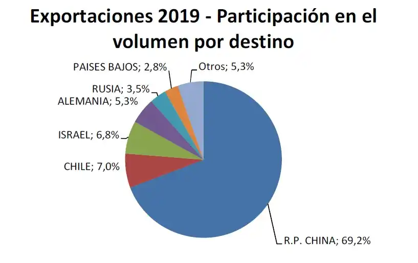 Las exportaciones de carne argentina crecieron un 35,6 por ciento en un año