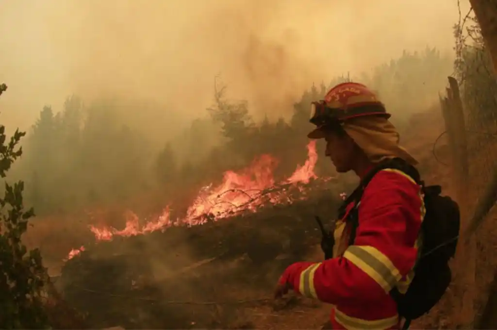 Incendios forestales en Chile: asciende a 26 la cifra de muertos