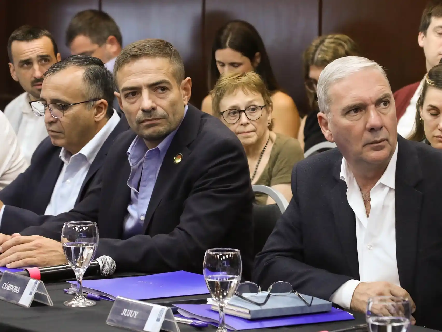 Entre Ríos participó del primer encuentro de Cofesa