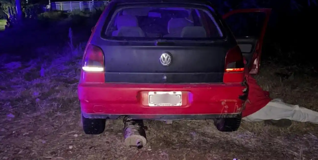 Un camión embistió al animal y, minutos después, un automóvil chocó contra el cuerpo