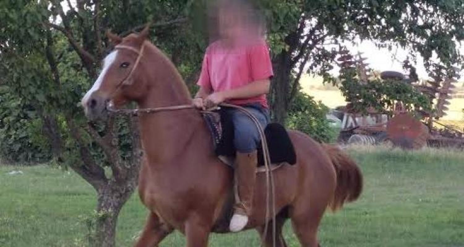 Asaltaron a una familia y secuestraron a su hijo en zona rural