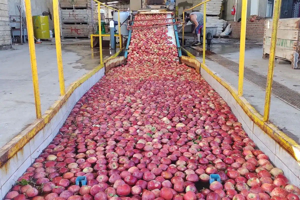 Agricultura incorpora nuevos productos de economías regionales al dólar agro