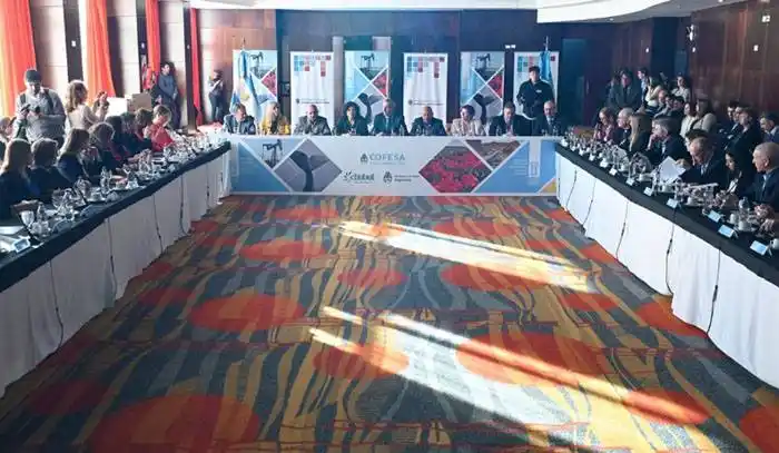 La tasa de mortalidad infantil cayó hasta el registro más bajo de la historia