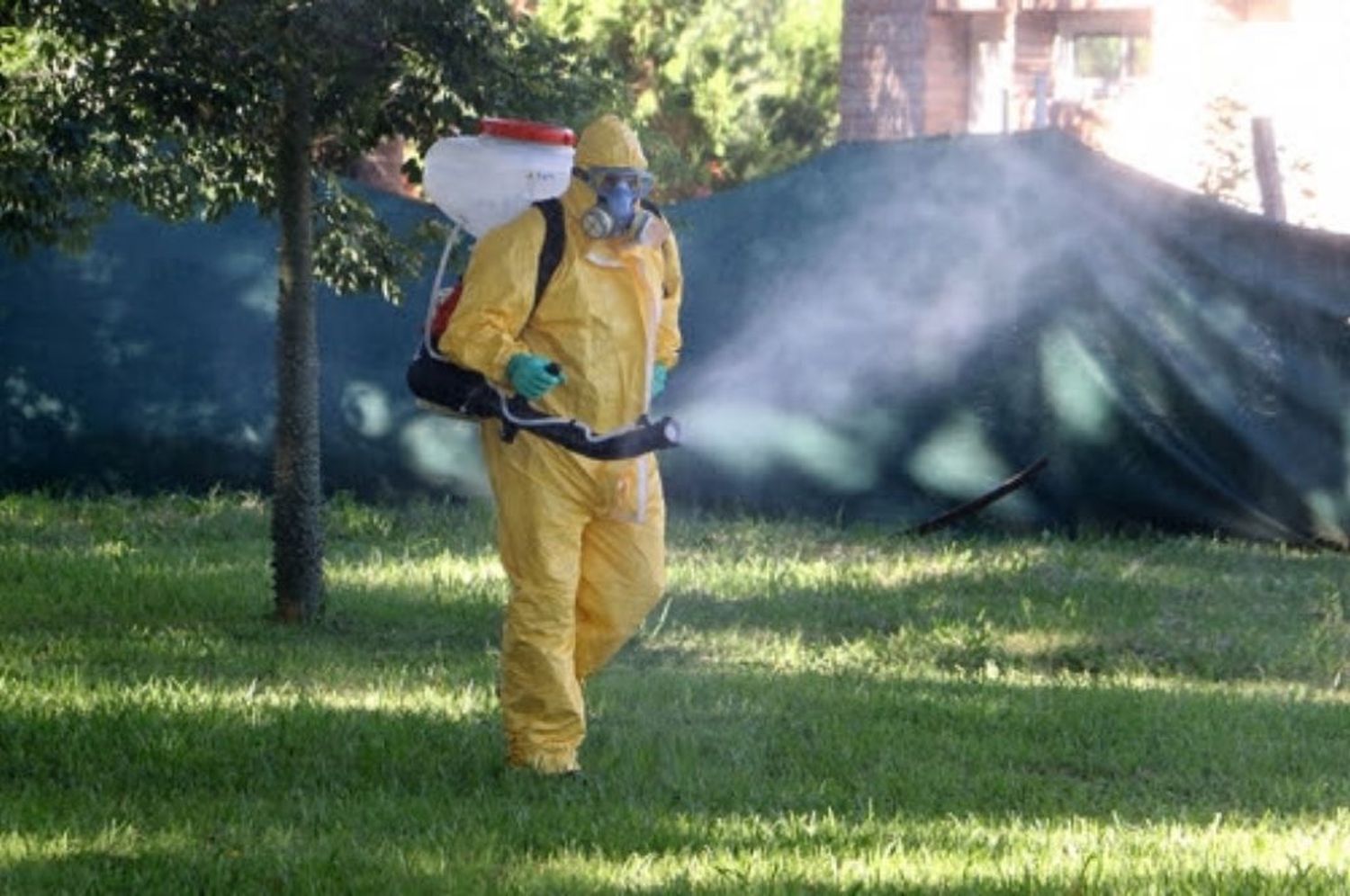 Trabajos de fumigación, iluminación y bacheo previstos para este miércoles