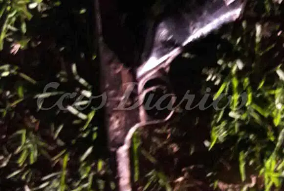 Acusados de robar un auto fueron atrapados con un arma