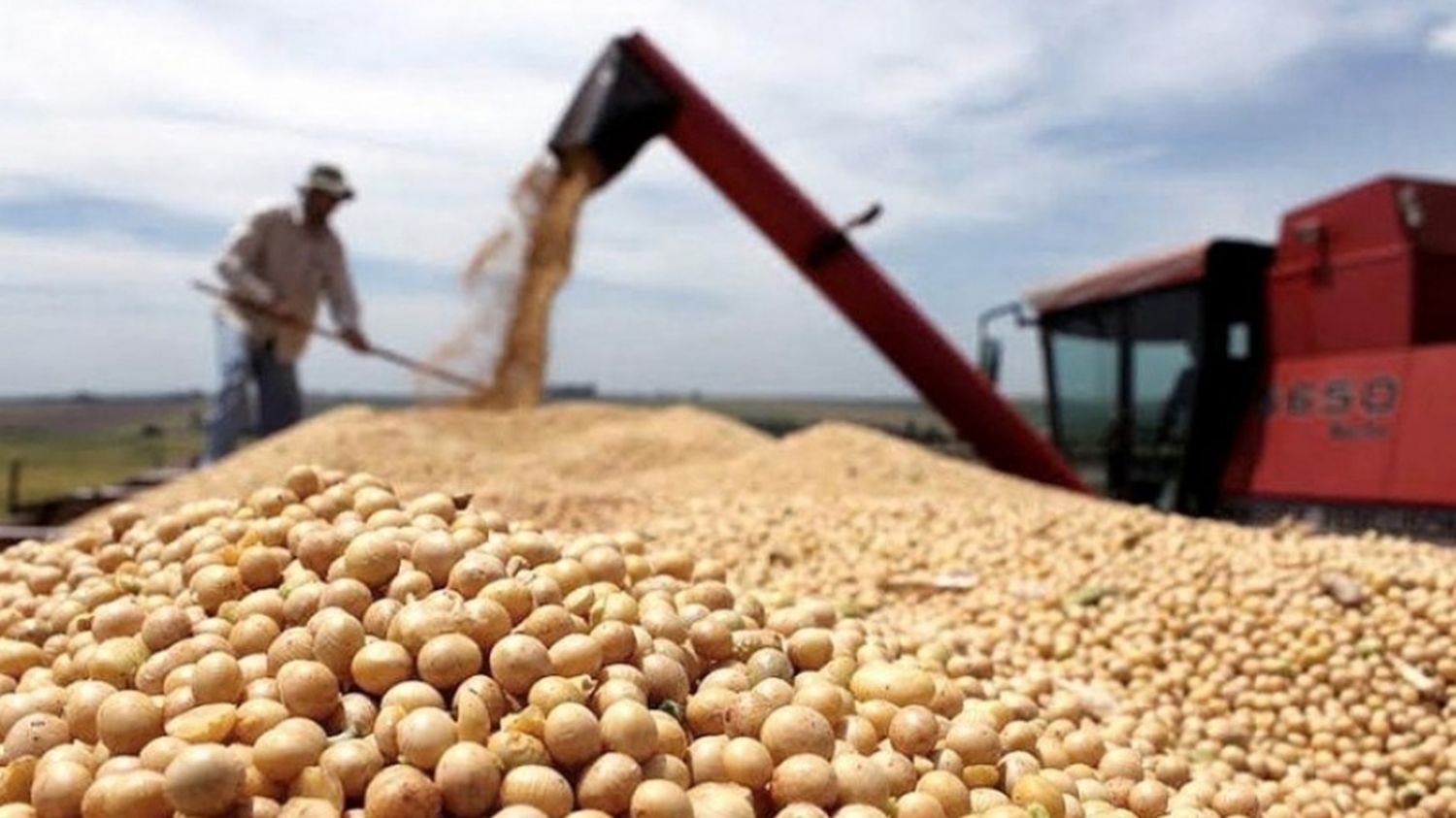 Récord agroexportador: US$19.145 millones en el primer semestre