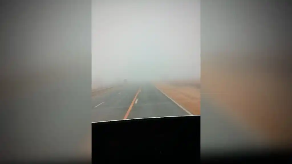 manejar con neblina