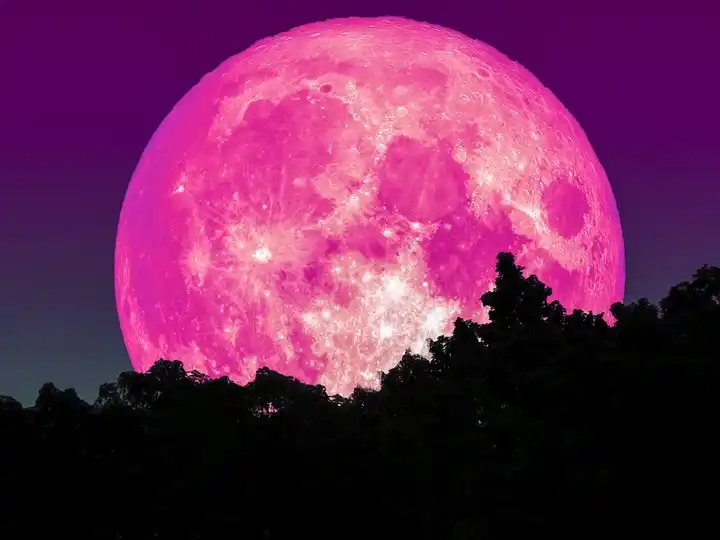 ¿CUÁNDO BRILLARÁ LA «LUNA ROSA»? Anota la fecha de la luna llena de abril