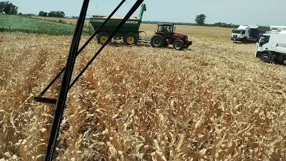 La Federación Agraria de Entre Ríos advierte por el deterioro de los números del sector productivo