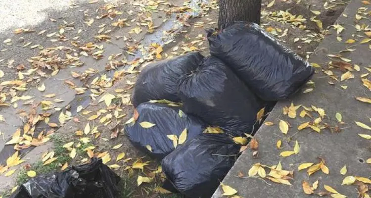 Basura por todos lados