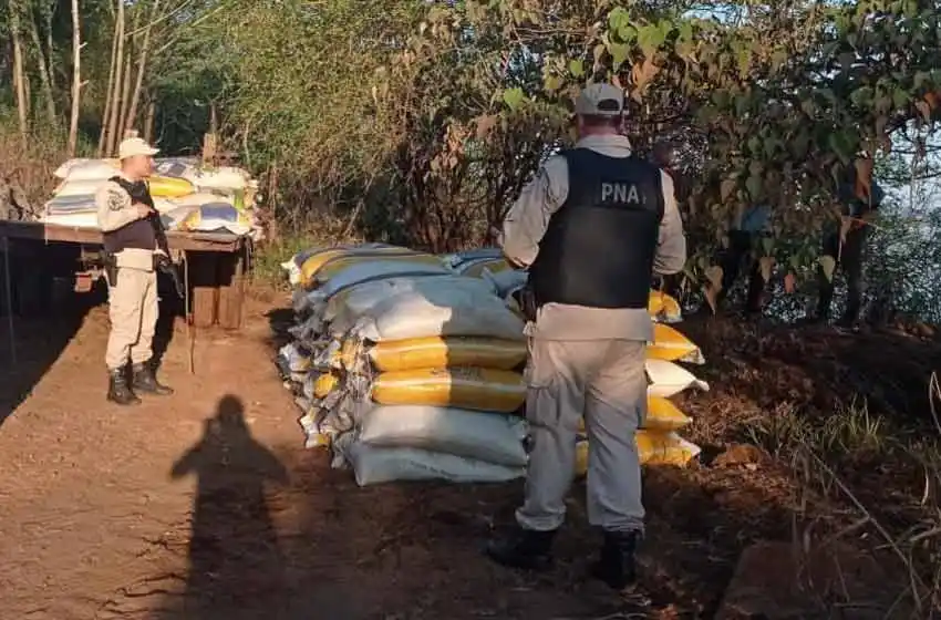 Megaoperativo en Misiones: Prefectura desarticuló una maniobra de exportación ilegal