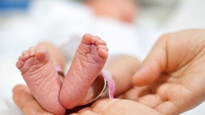 Cayó un 40% la tasa de natalidad en Argentina y aumenta el número de hogares sin hijos