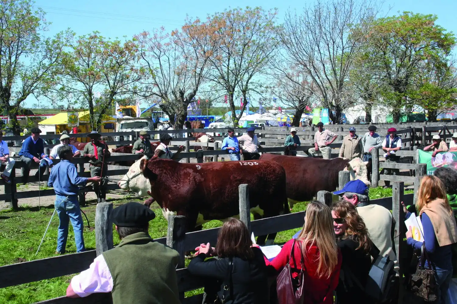 Se confirmaron las Cabañas que participarán de la muestra ganadera