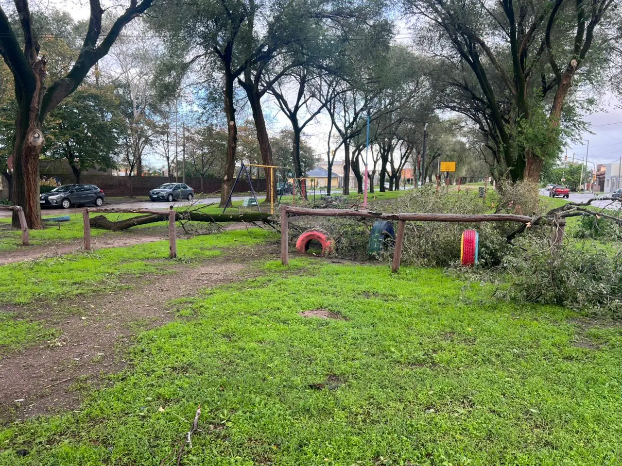 Un árbol caído, en 58 y 81