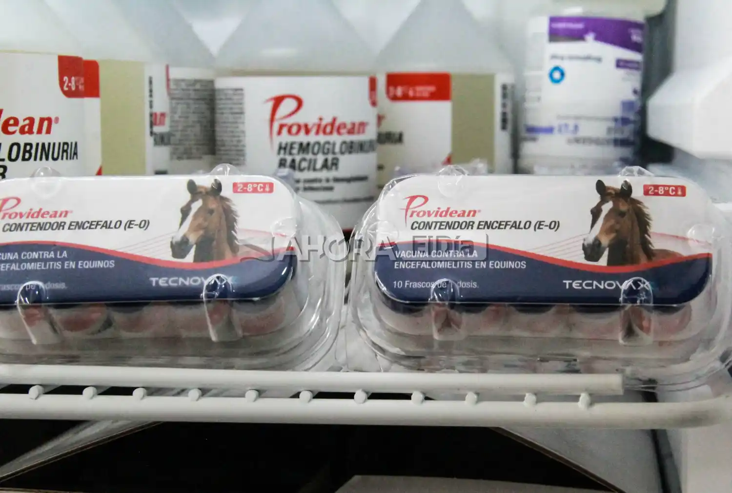 vacunas encefalomielitis equina - 2