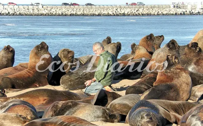 Carlos Leo, cuida a los lobos