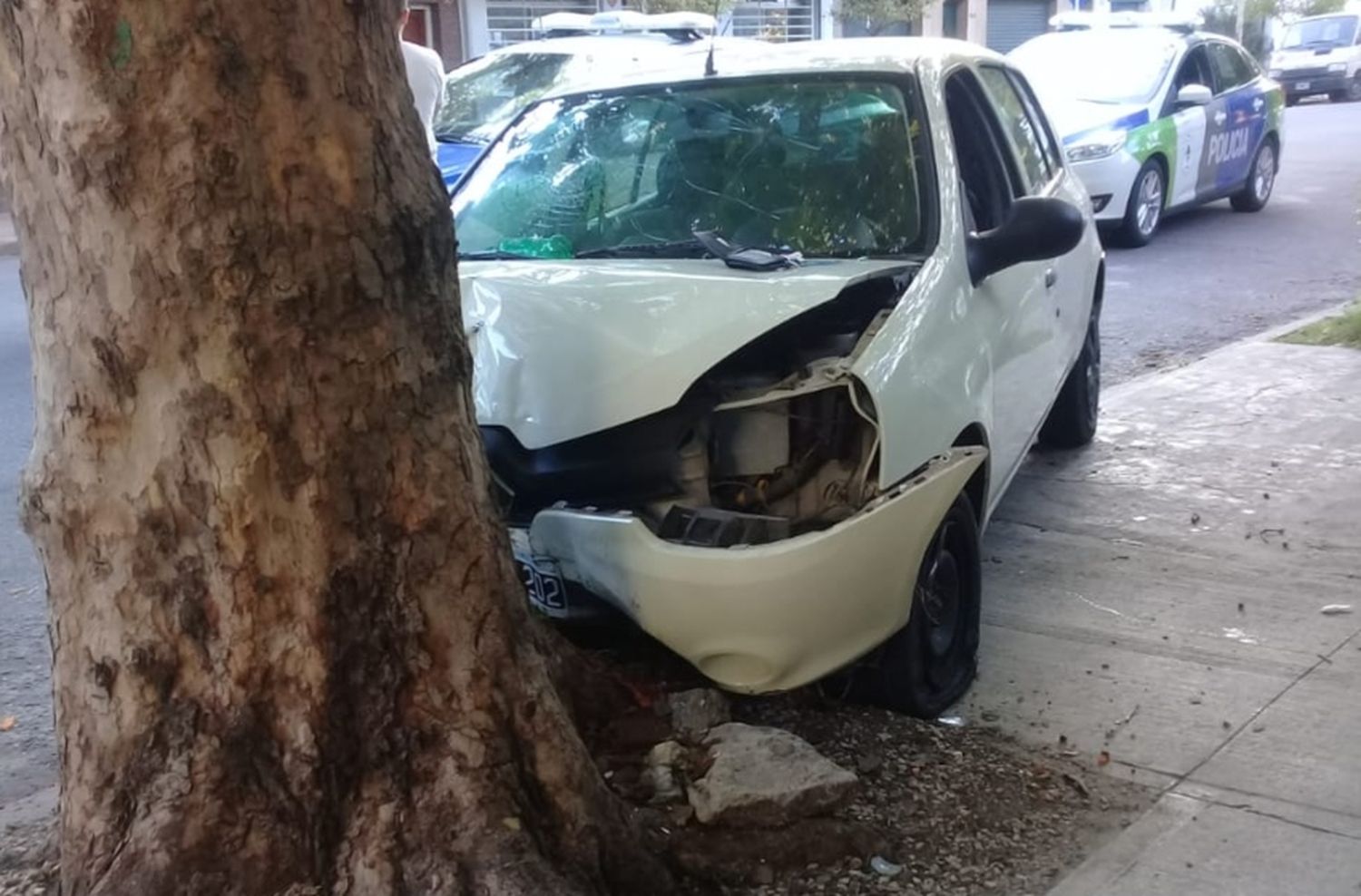 Manejaba borracho y se chocó un árbol