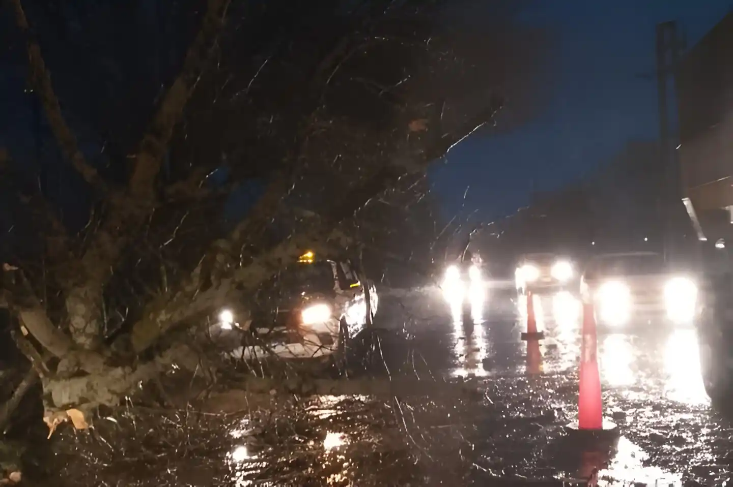 Defensa Civil colaboró en ruta 191, donde despistó un auto tras esquivar un árbol caído.