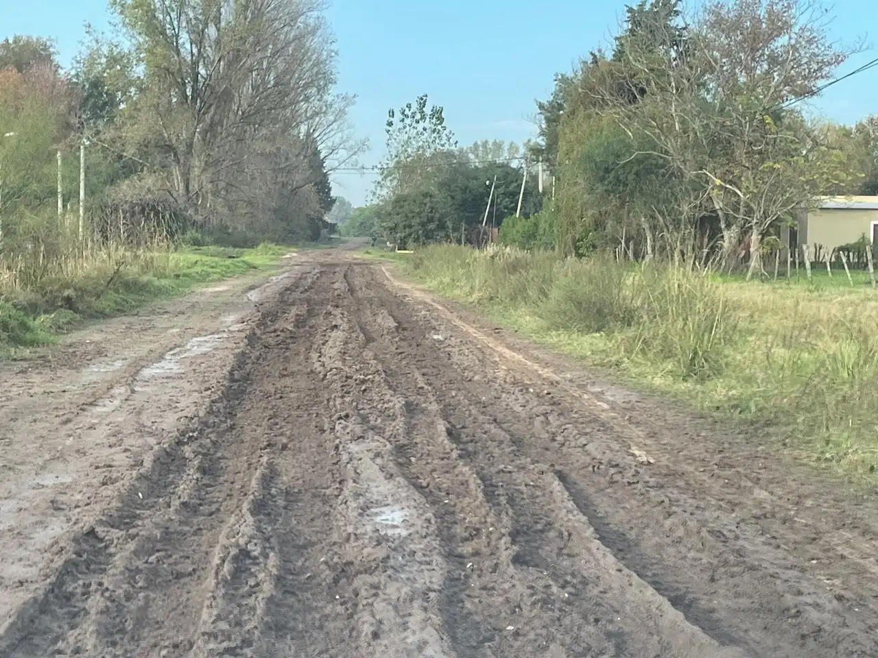 ruta 11 calle 89