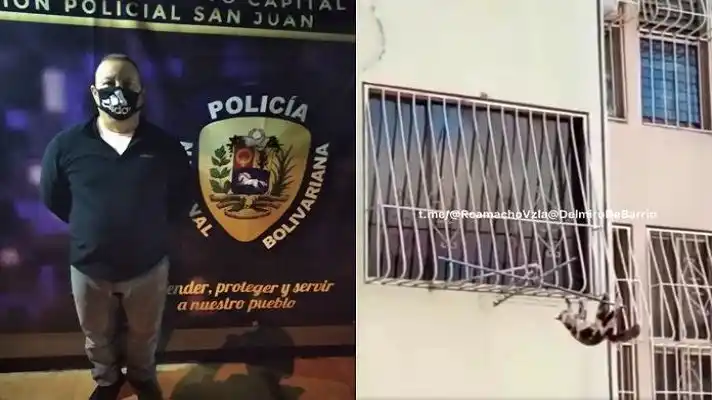Detienen a sujeto que lanzó a su gata desde el piso 20 de un edificio en San Martín