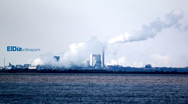 Buscan instalar otra mega fábrica de celulosa en Uruguay