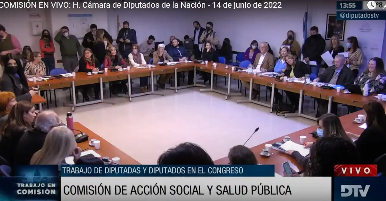 EN VIVO: Diputados trabaja en una Ley que asegure cuidados paliativos a pacientes