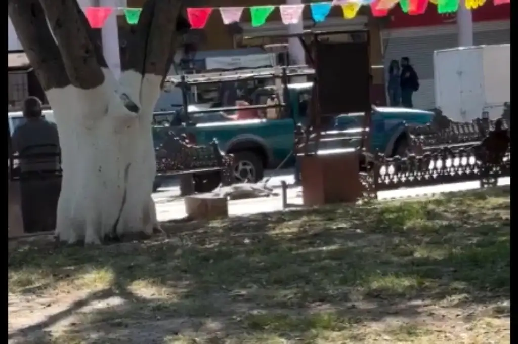 Maltrato animal
