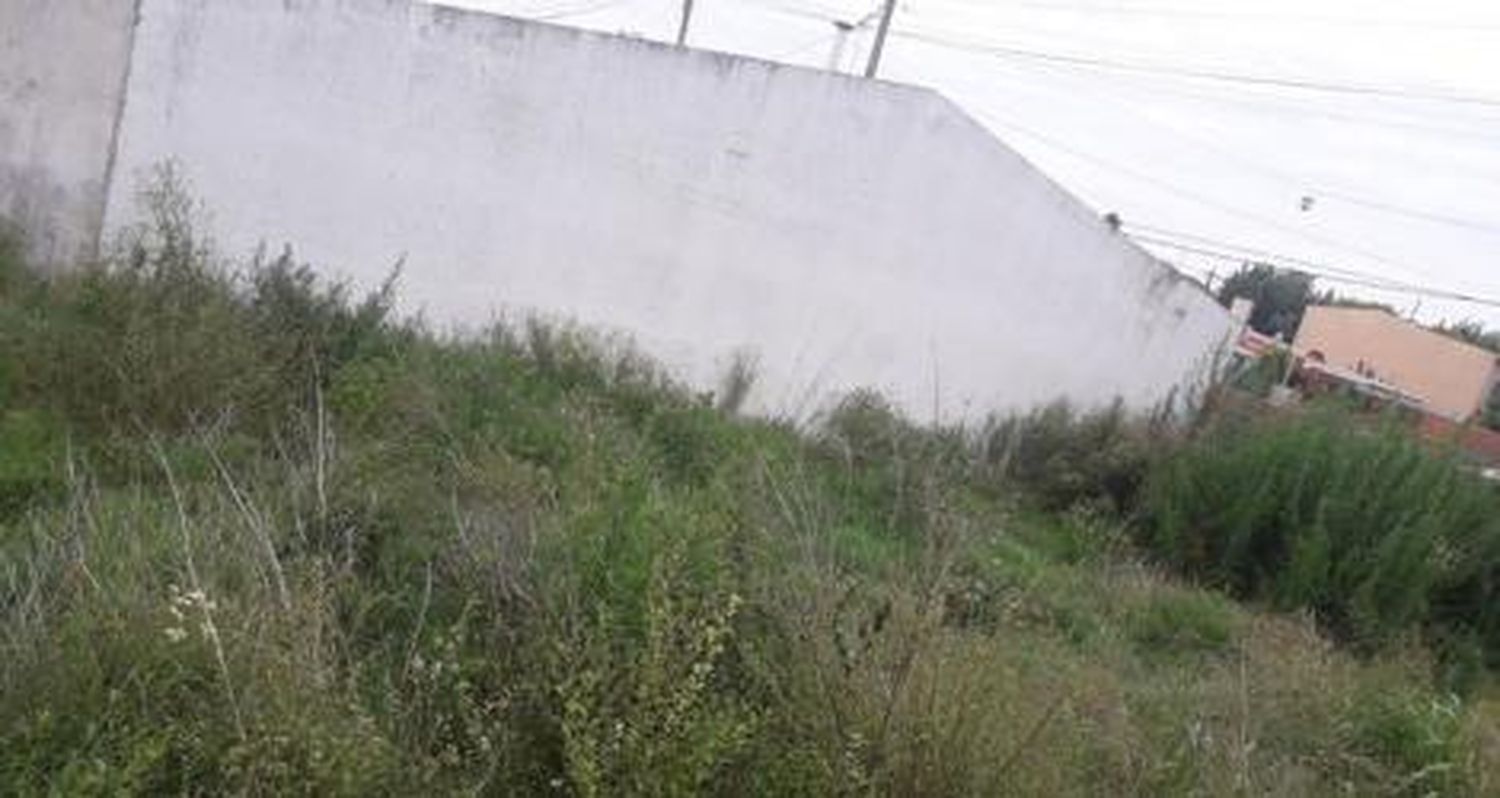 Quejas por terreno con pasto alto