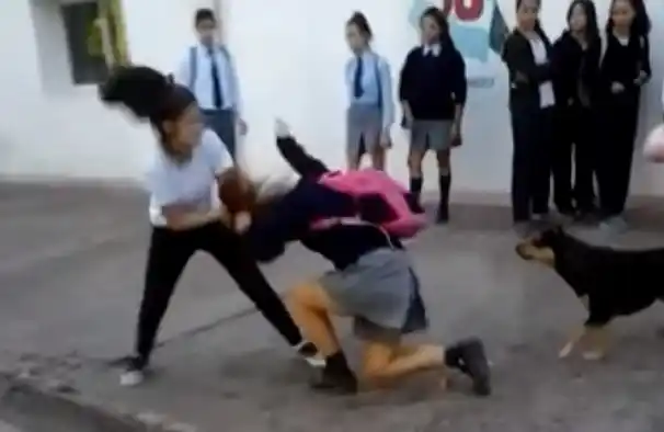 Video: En menos de 48 horas agredió brutalmente a dos compañeras 
