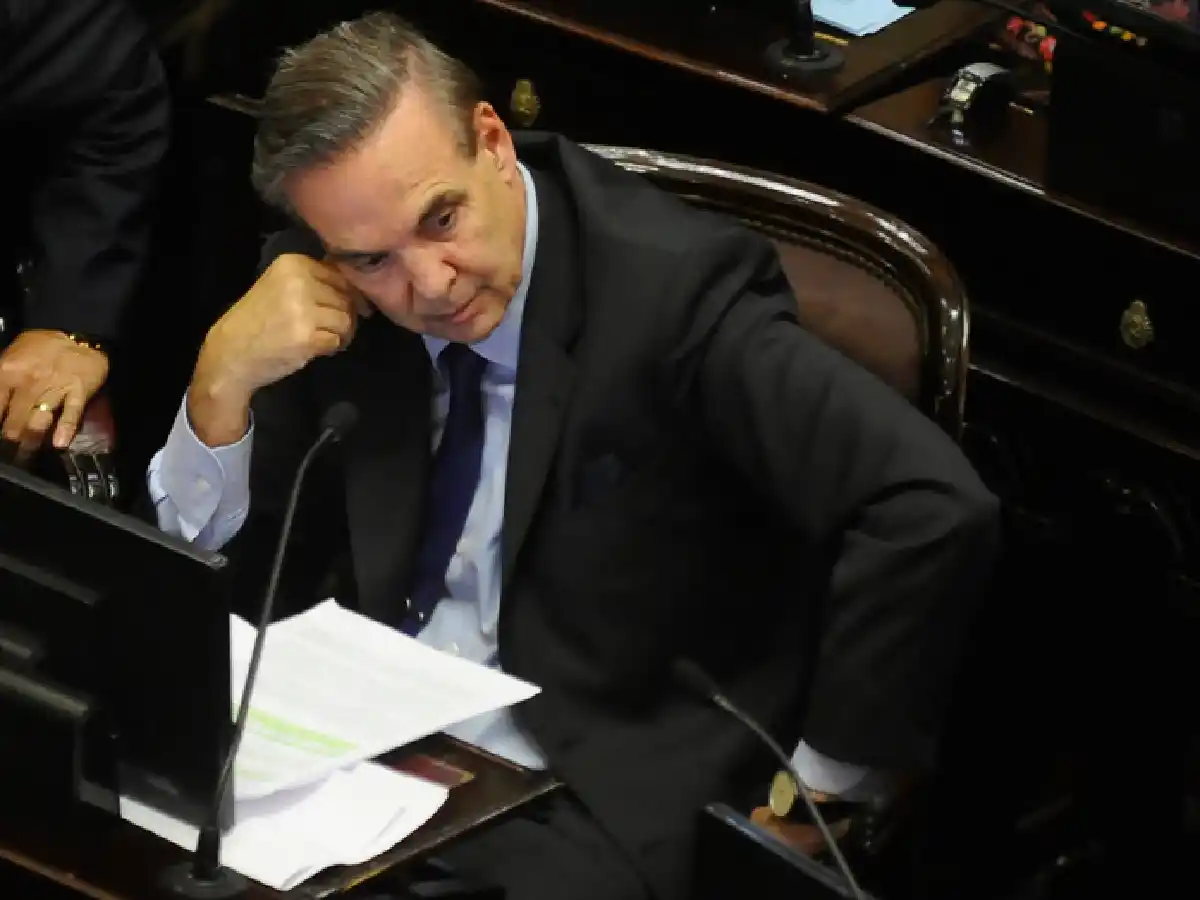 Pichetto reclamó saber "qué bancos son los que compraron dólares" baratos