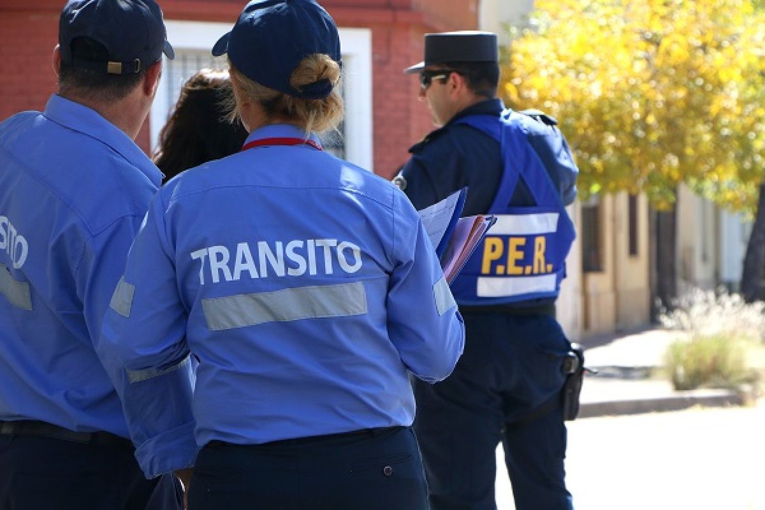 Reabre Tránsito: Se podrá renovar la licencia de conducir con turno previo