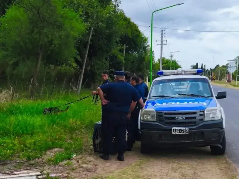 Gualeguaychú: hallaron sana y salva a la mujer que era intensamente buscada