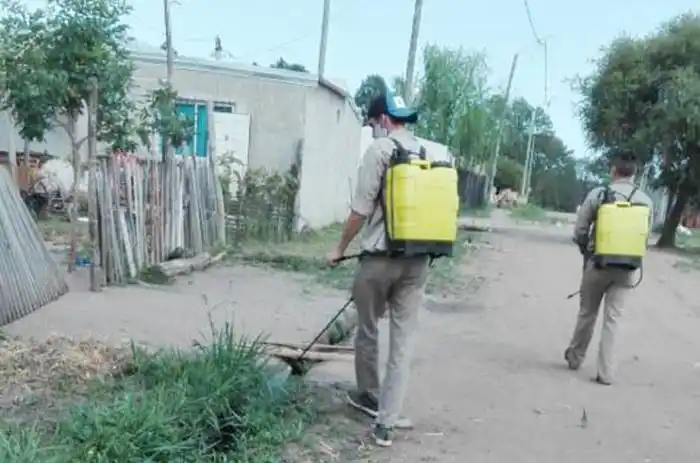 Fuerte campaña municipal de prevención y el control de  mosquitos en los barrios