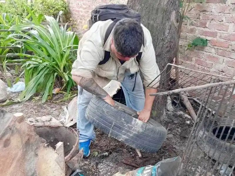 Dengue: piden a la población reforzar 
la prevención ante las lluvias reiteradas