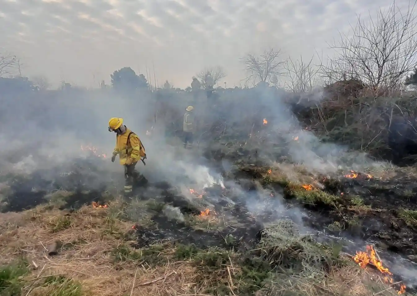 Incendio forestal en Chascomús: Un llamado urgente a la prevención ante las altas temperaturas y la sequía