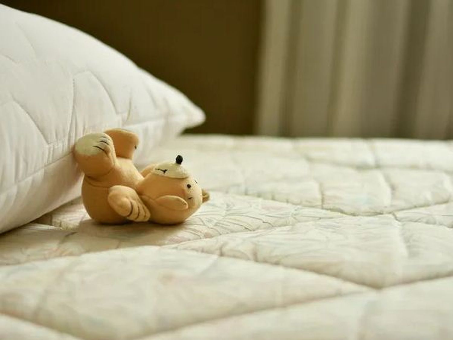Ofrecen $ 10.000 por dormir la siesta en una vidriera