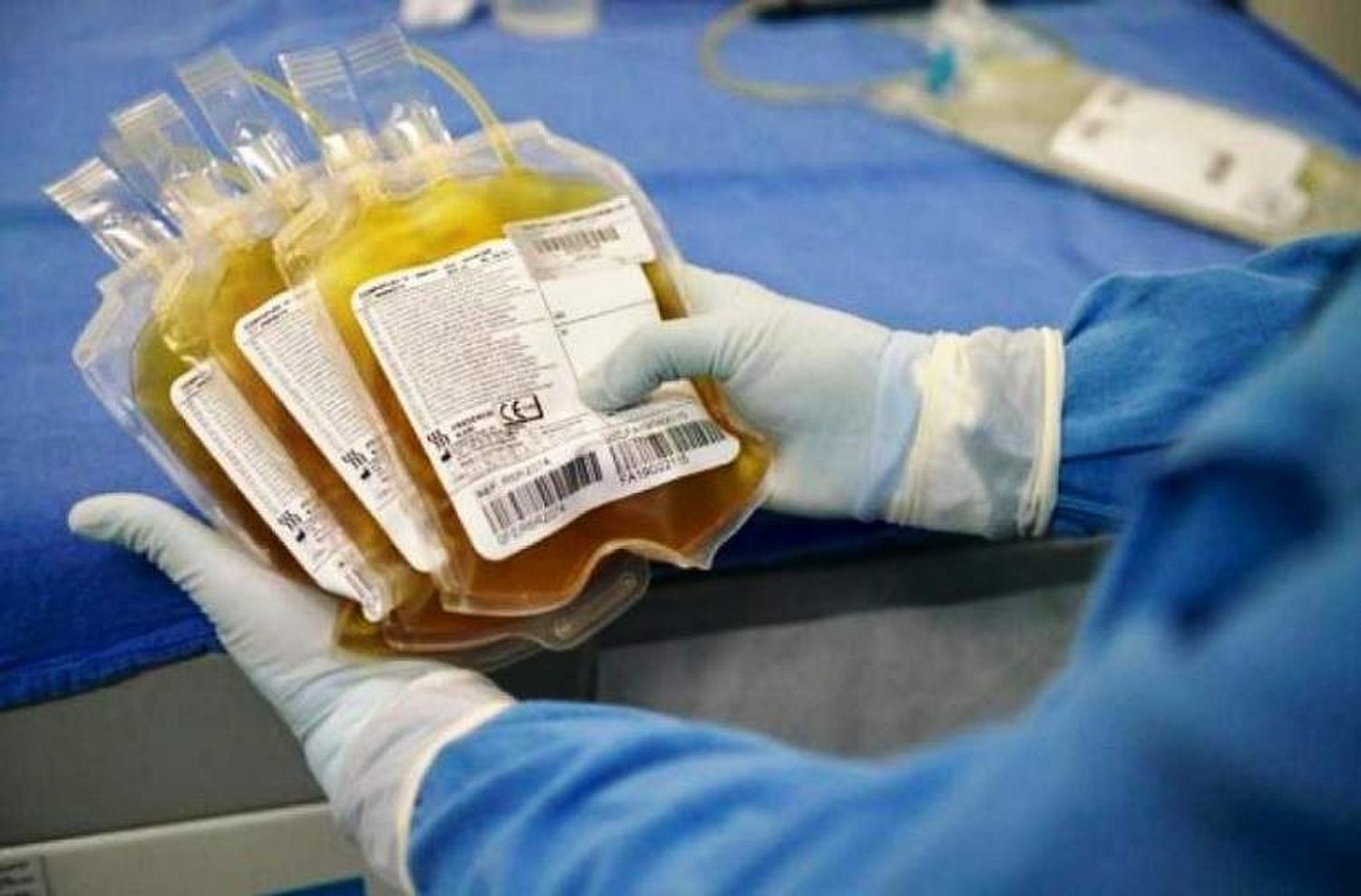 La ley de donación de plasma de recuperados de coronavirus rige desde este martes