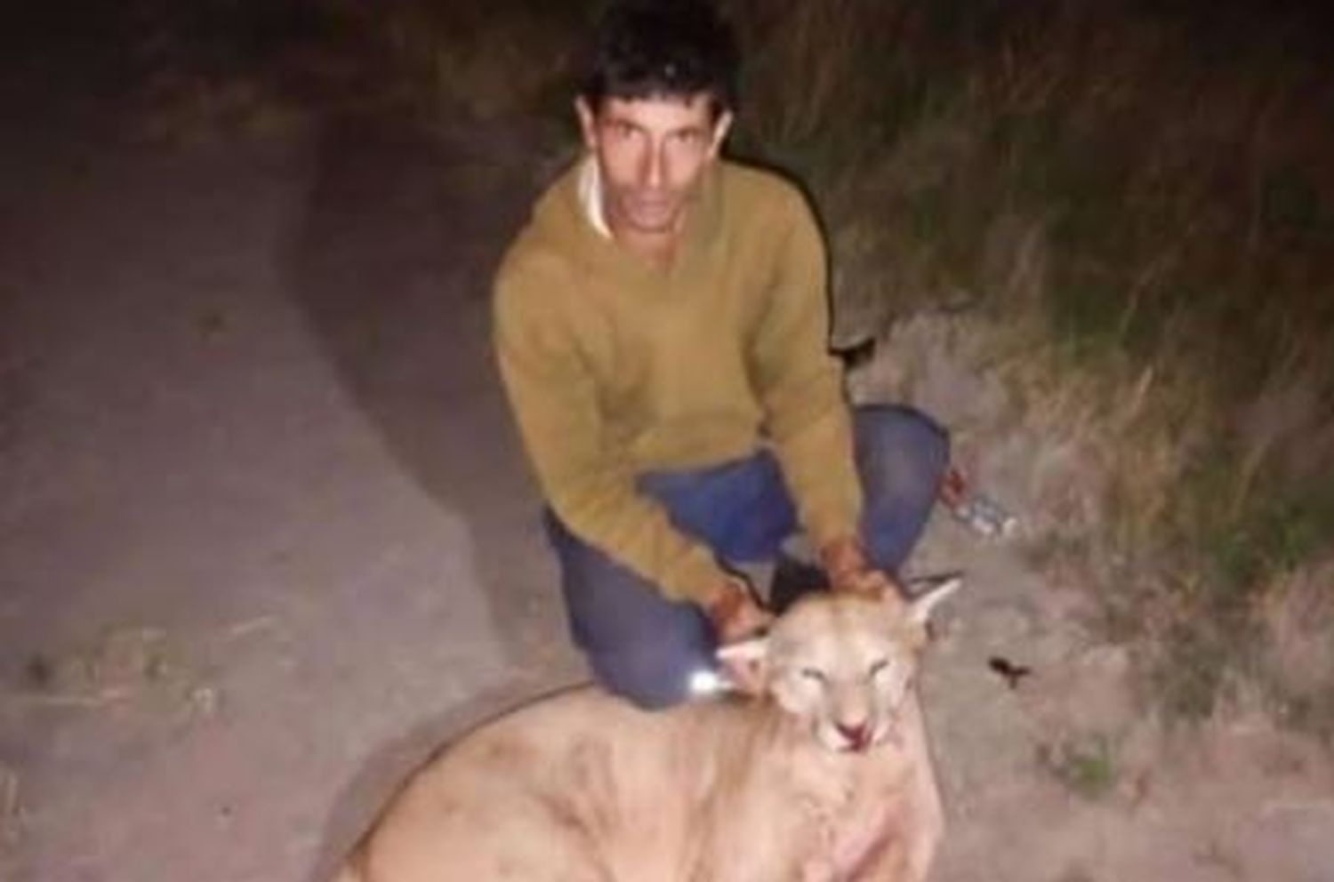 imagen Un hombre de Larroque mató a un puma en el departamento Gualeguaychú y despertó el repudio en las redes sociales