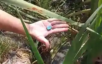 Una postal se repite. Vecinos de Valle del Lago denuncian que se quedan sin agua tras la apertura del Balneario del Sol.
