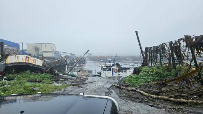 tsunami desastre