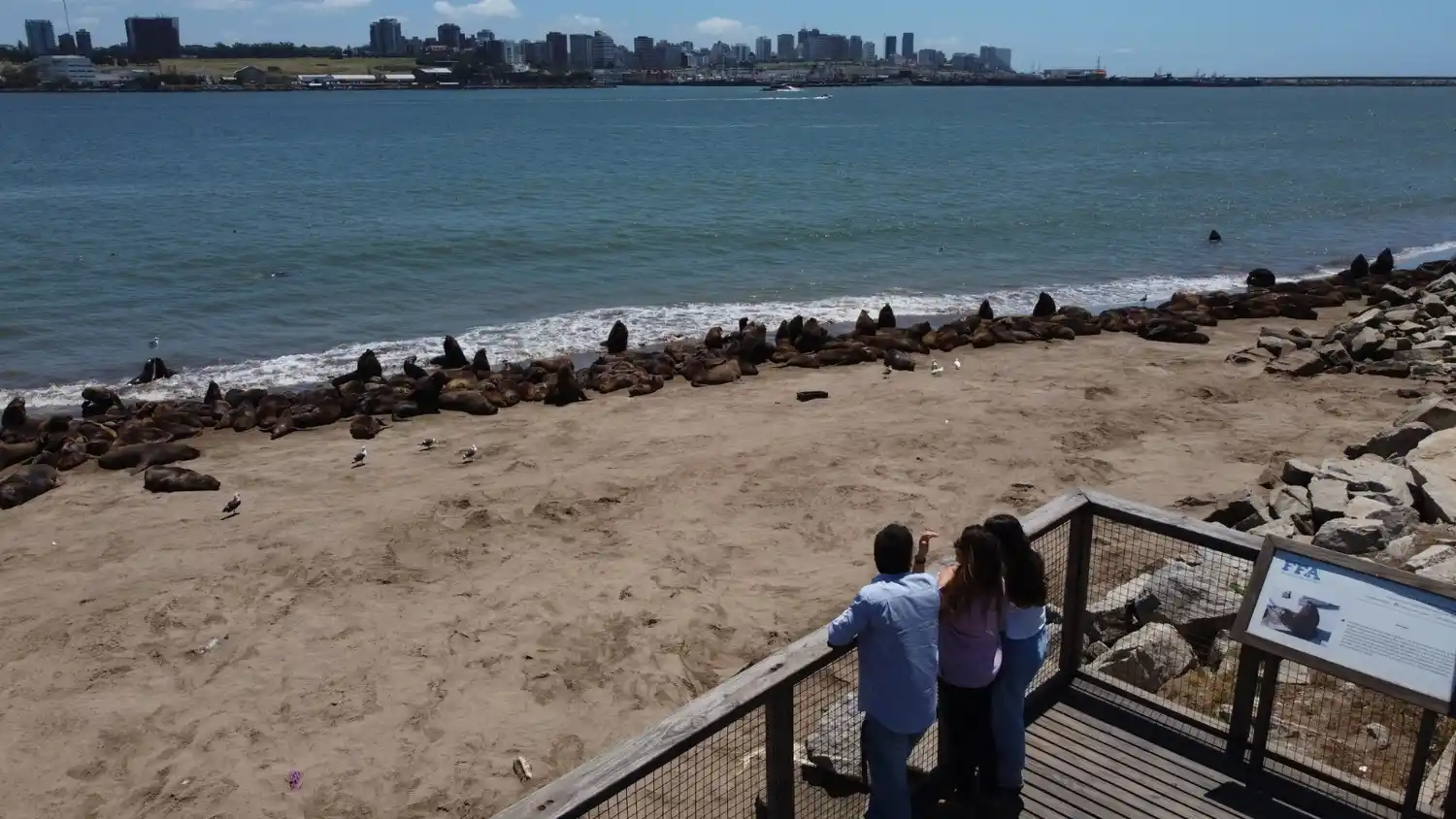 Poca ocupación hotelera en Mar del Plata