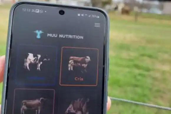 Lanzan una app para calcular raciones de alimentos para perros y gatos