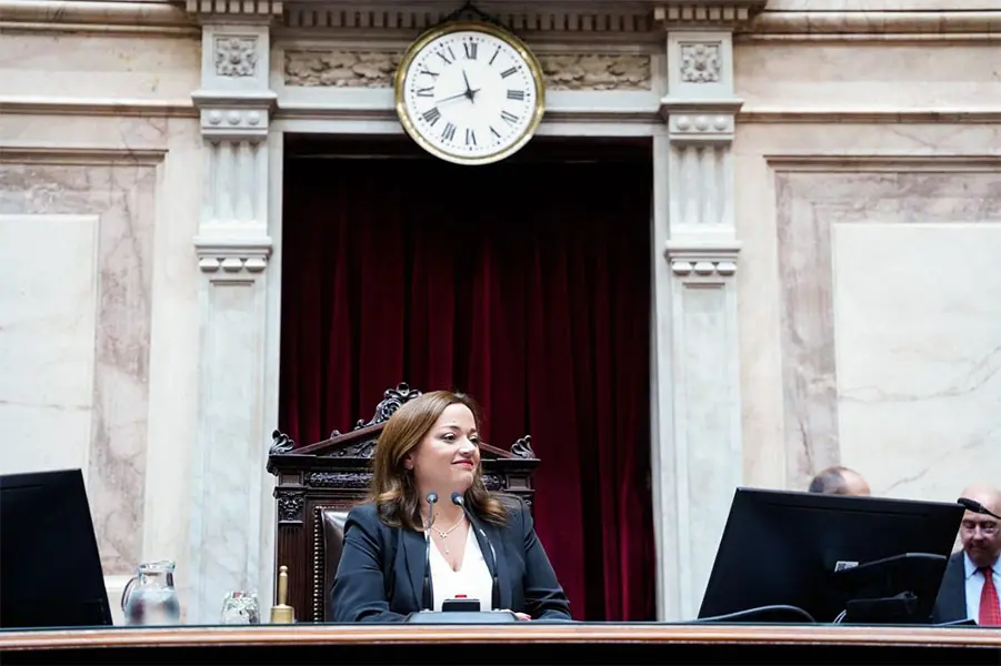 Cecilia Moreau celebró la media sanción al proyecto que fortalece la Justicia de Santa Fe contra el narcotráfico